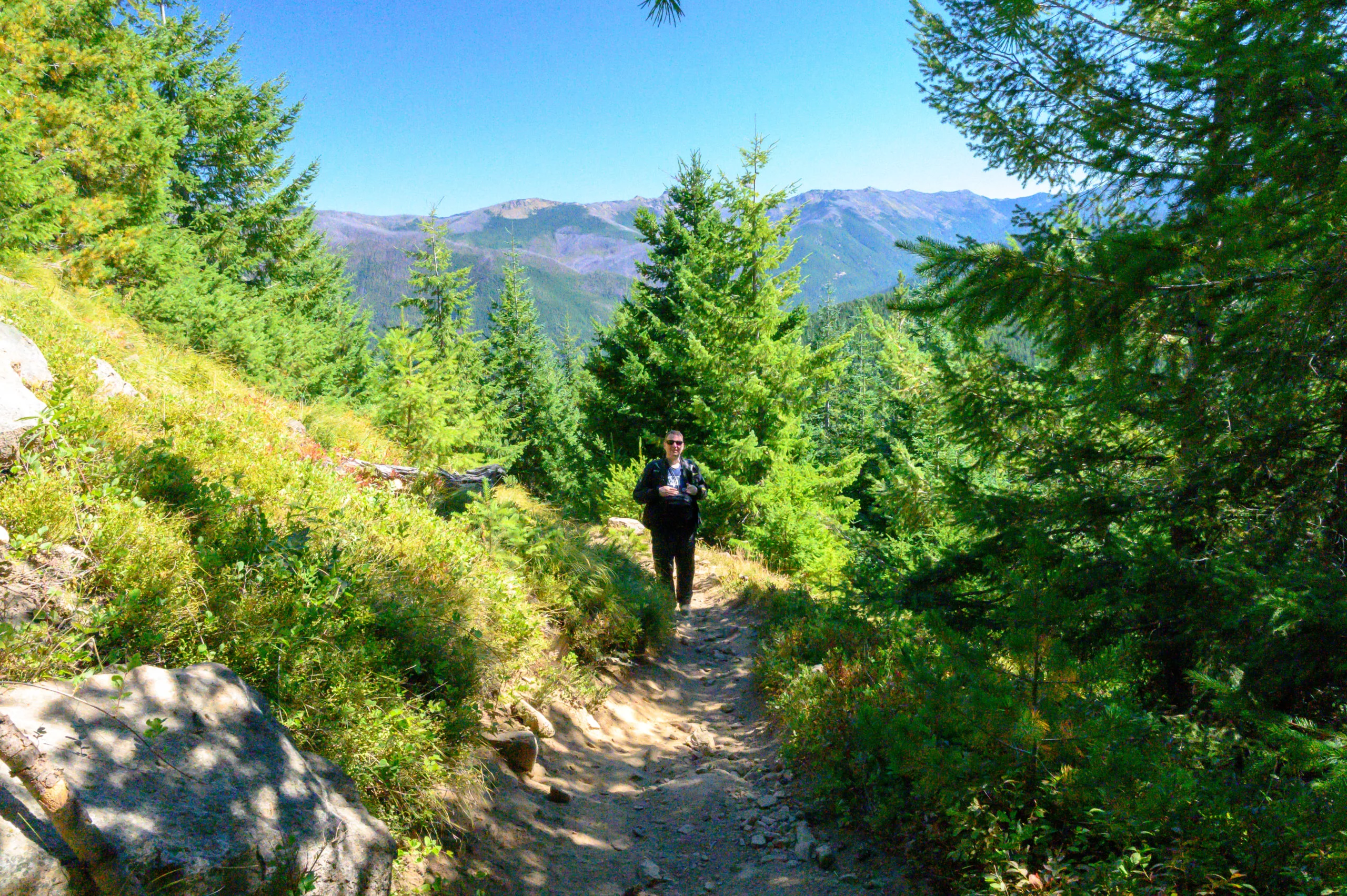 A hiker walking up a trail.