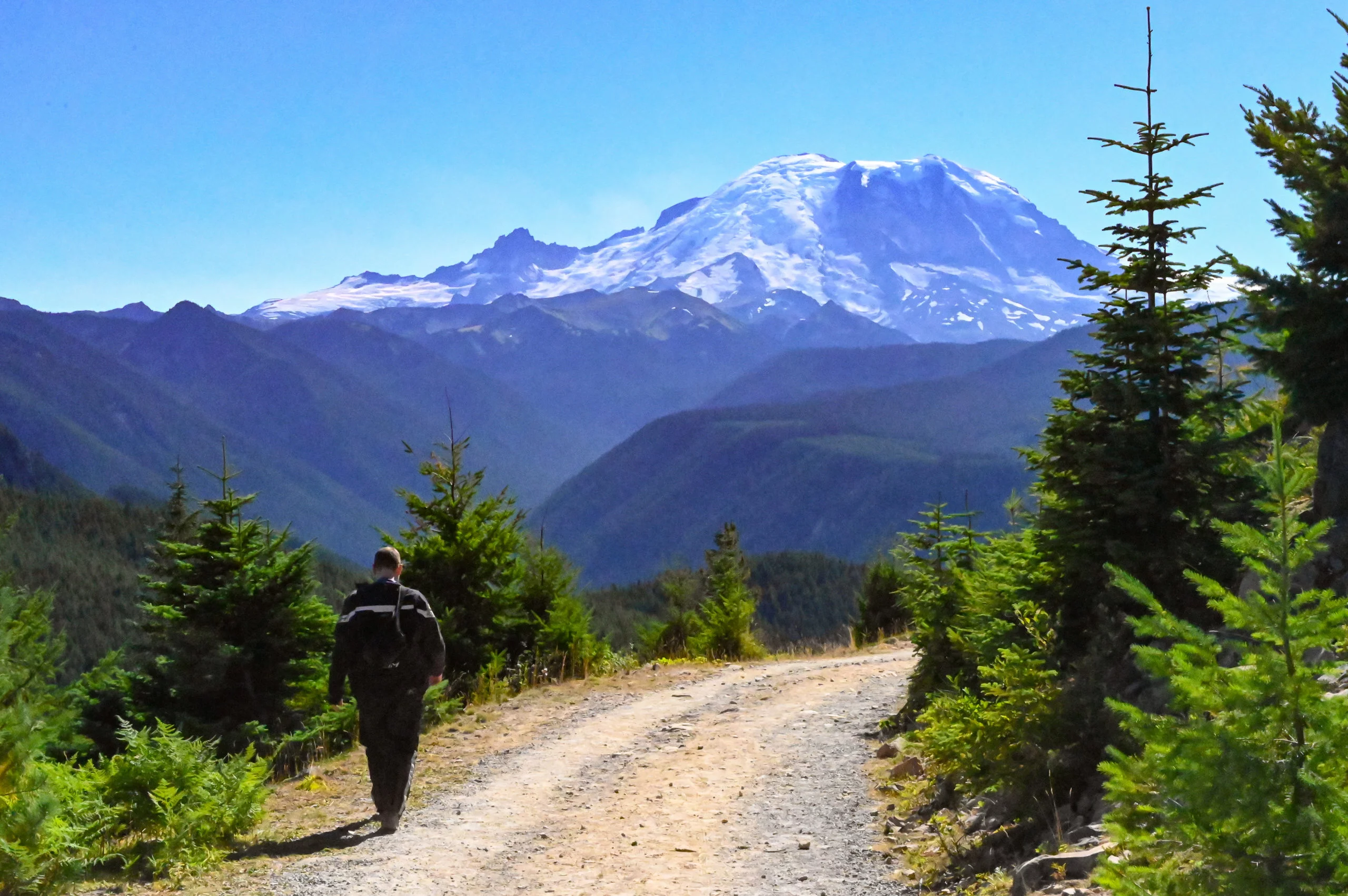 A hiker walking down a road toward Mt Rainier