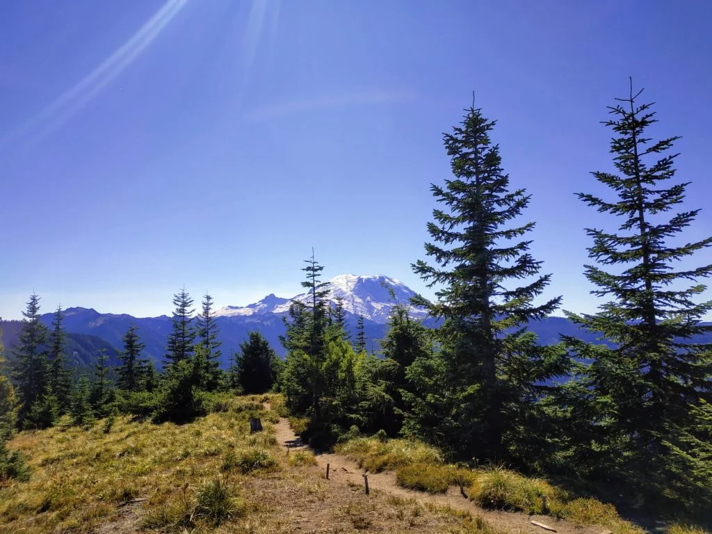 view of a trail and mount rainier