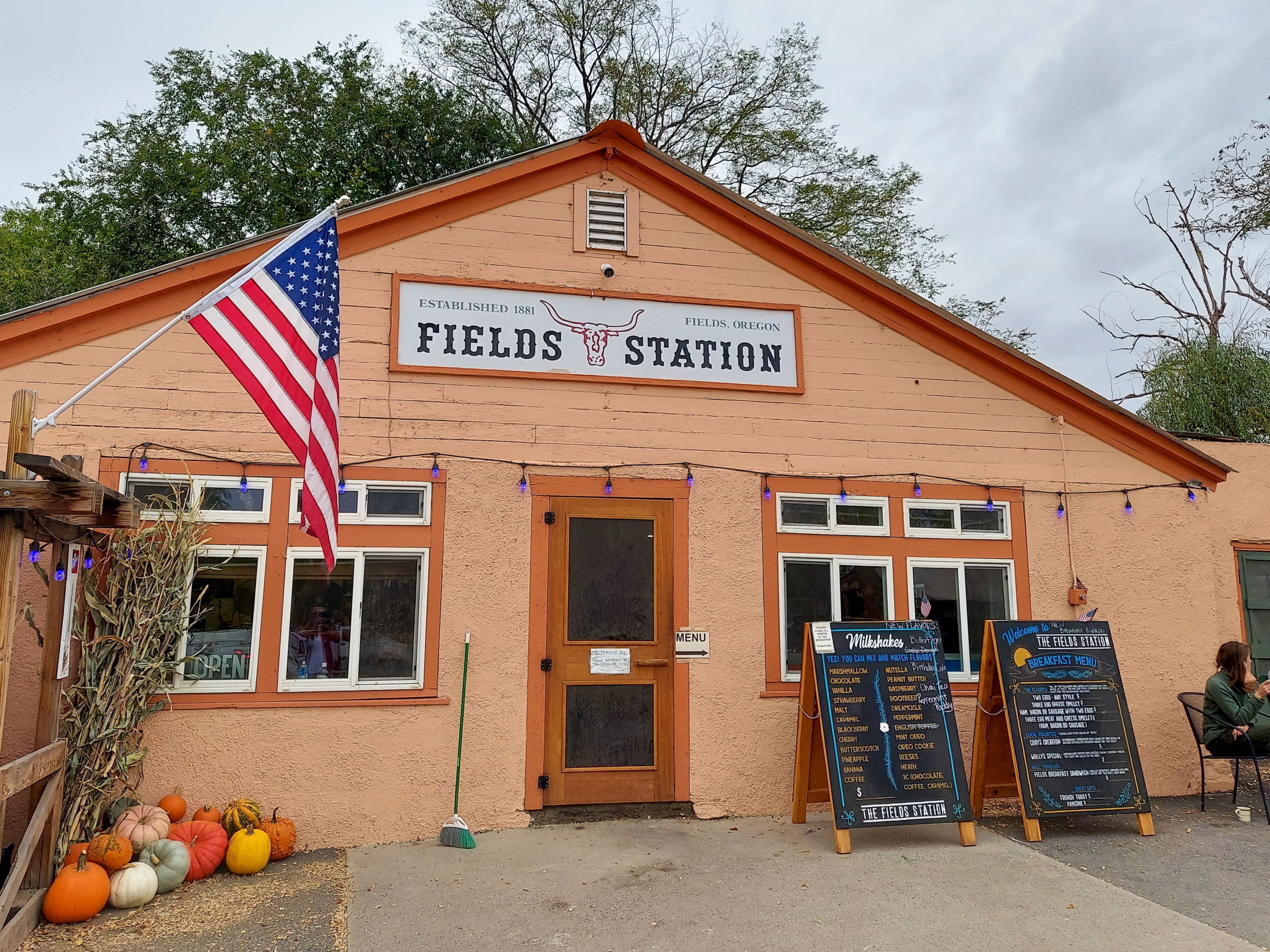 The Fields Station near the Alvord Desert