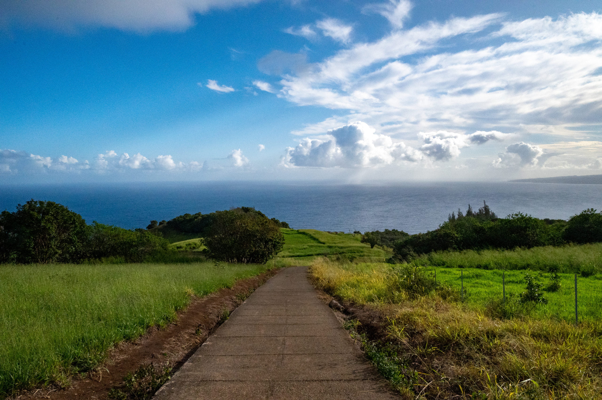 concrete path with ocean views