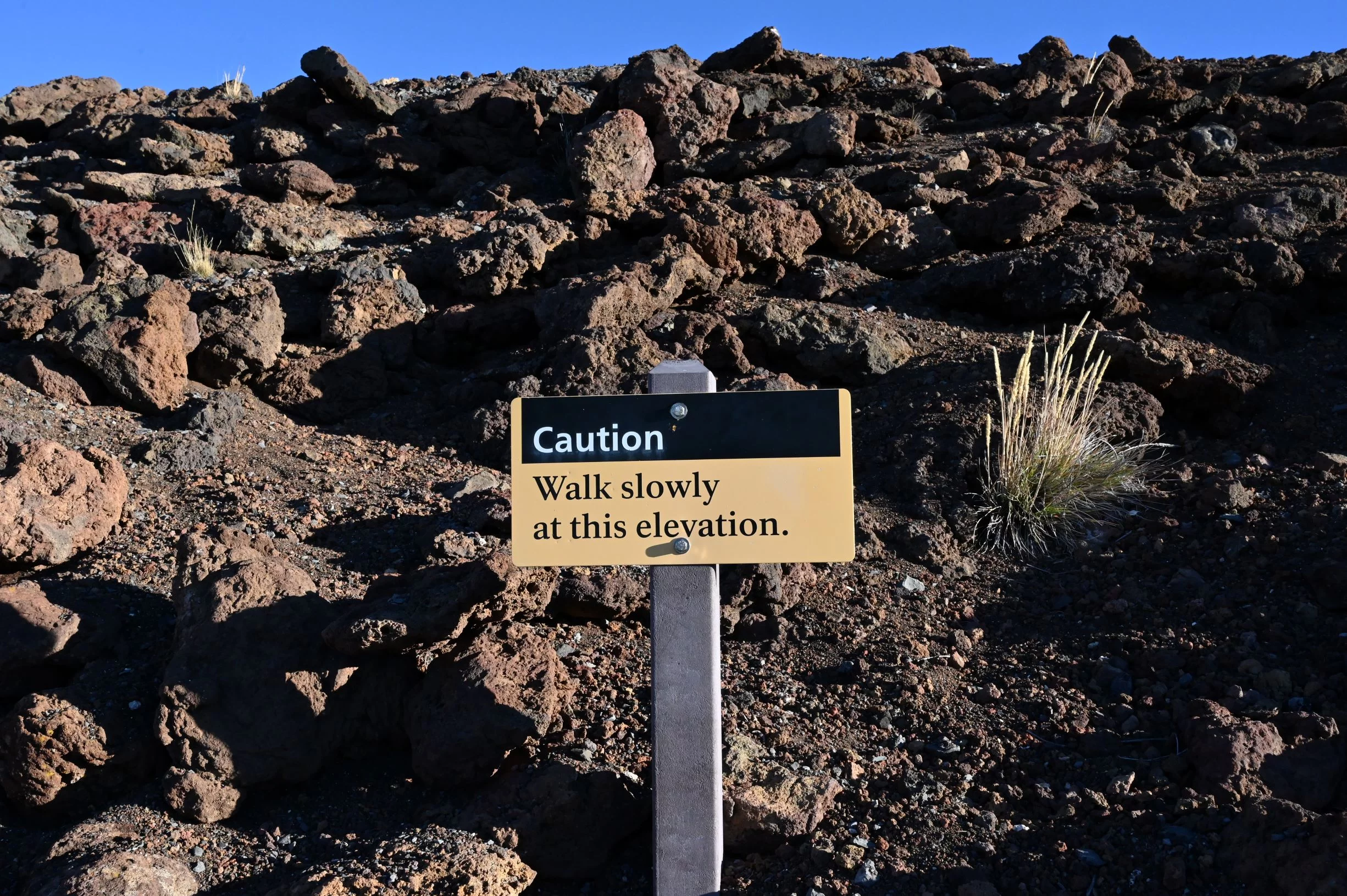 elevation sickness sign