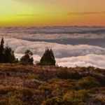 heather meadows and clouds