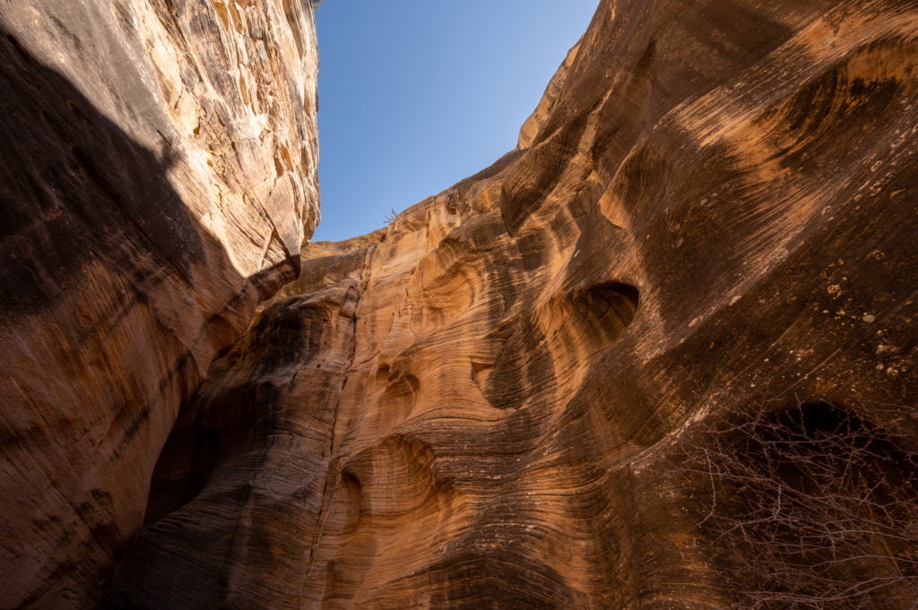 tall canyon walls