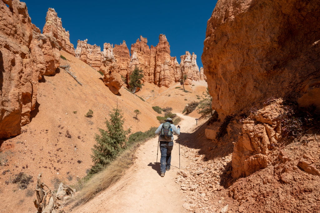 More hoodoos in Bryce Canyon National Park.