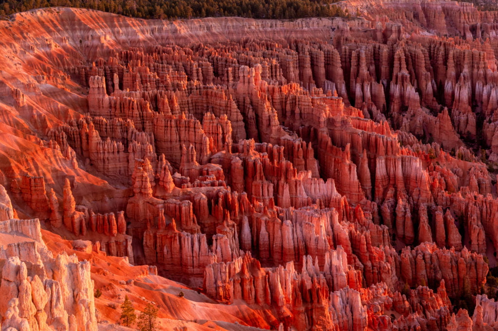 Hoodoos and Spires at Bryce Canyon