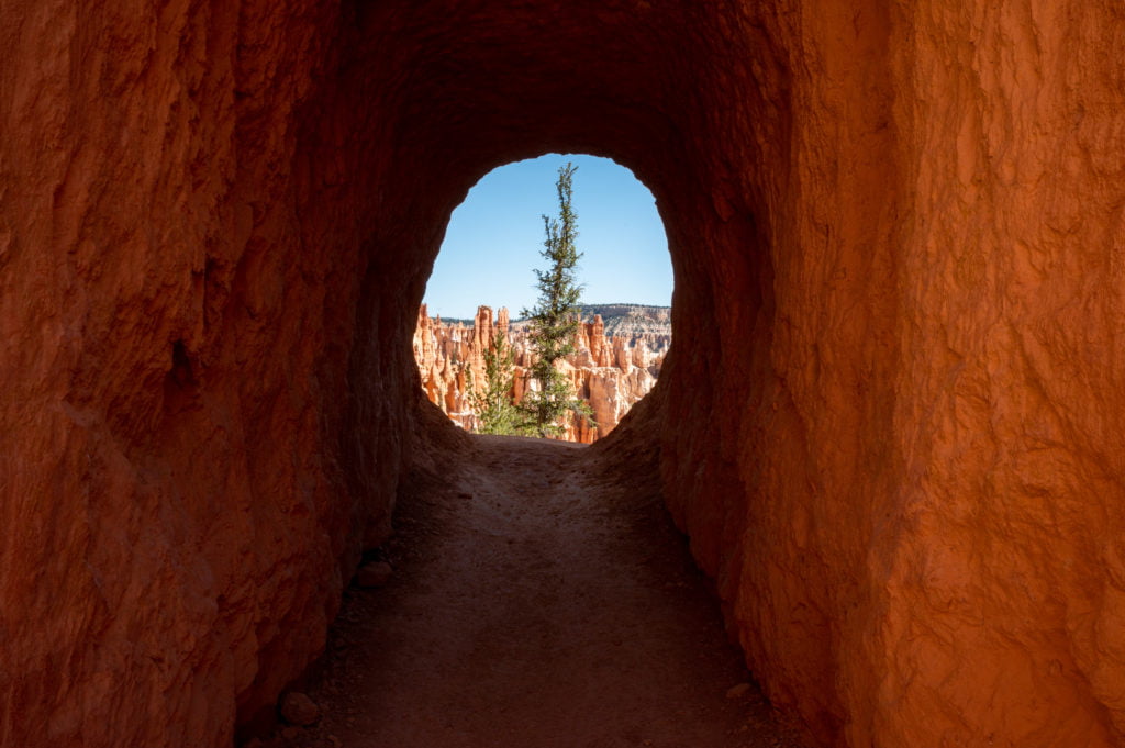 A walkway carved out in the rock.