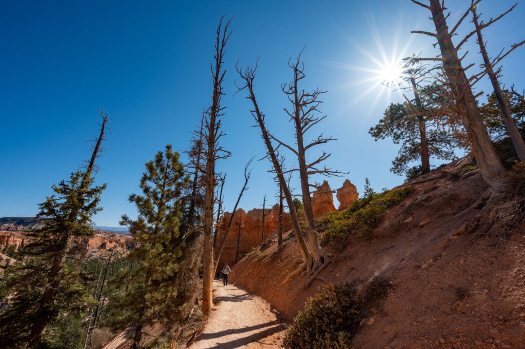 Start of Peekaboo Loop Trail