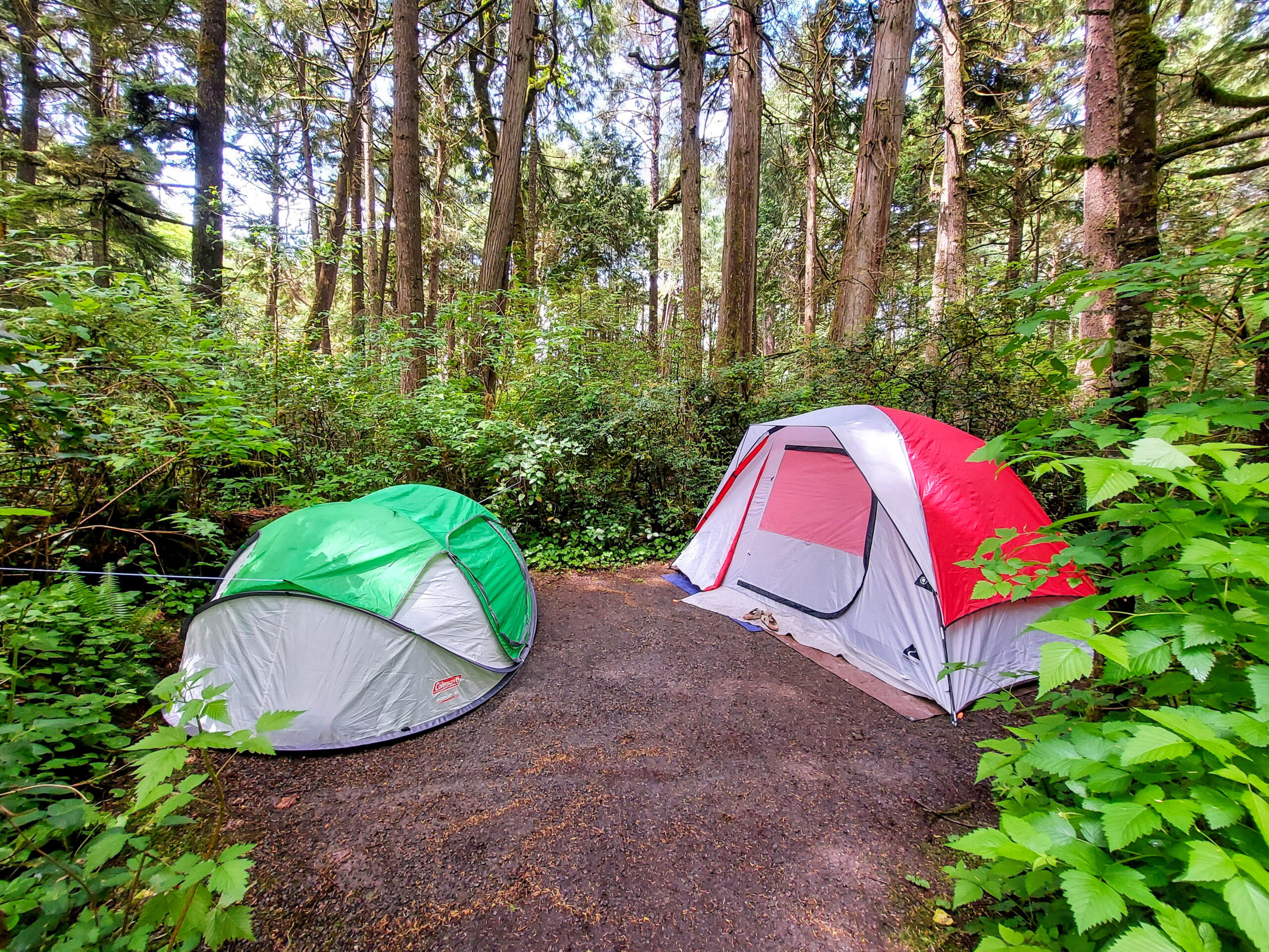 dræne Reparation mulig Værdiløs Coleman 4-Person Pop-Up Tent Gear Review - Travelffeine