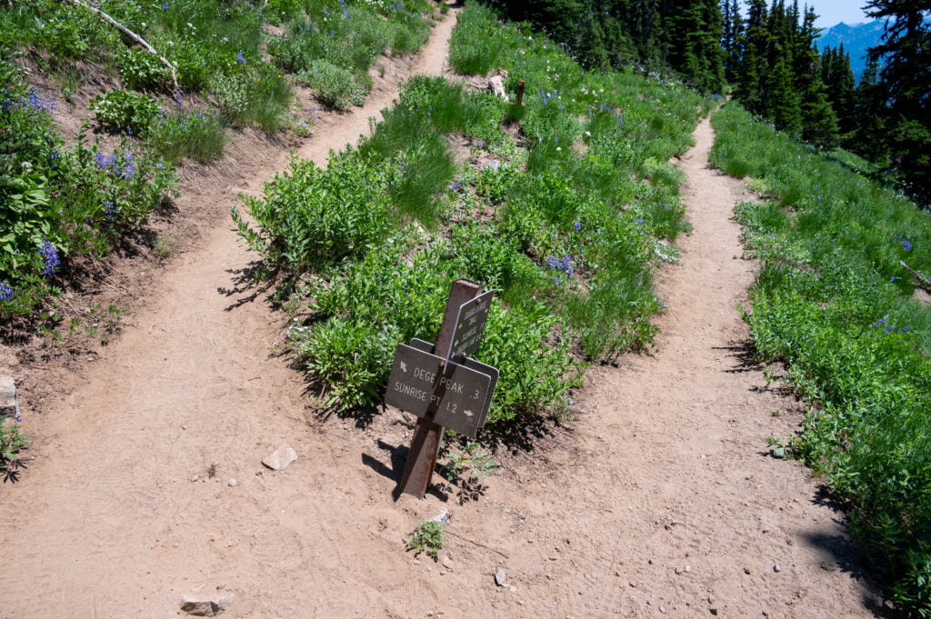 Fork in the trail for Sunrise Point