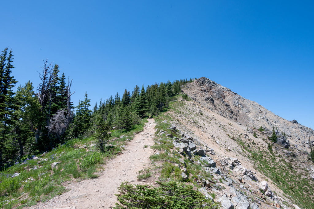 Dege Peak Summit trail