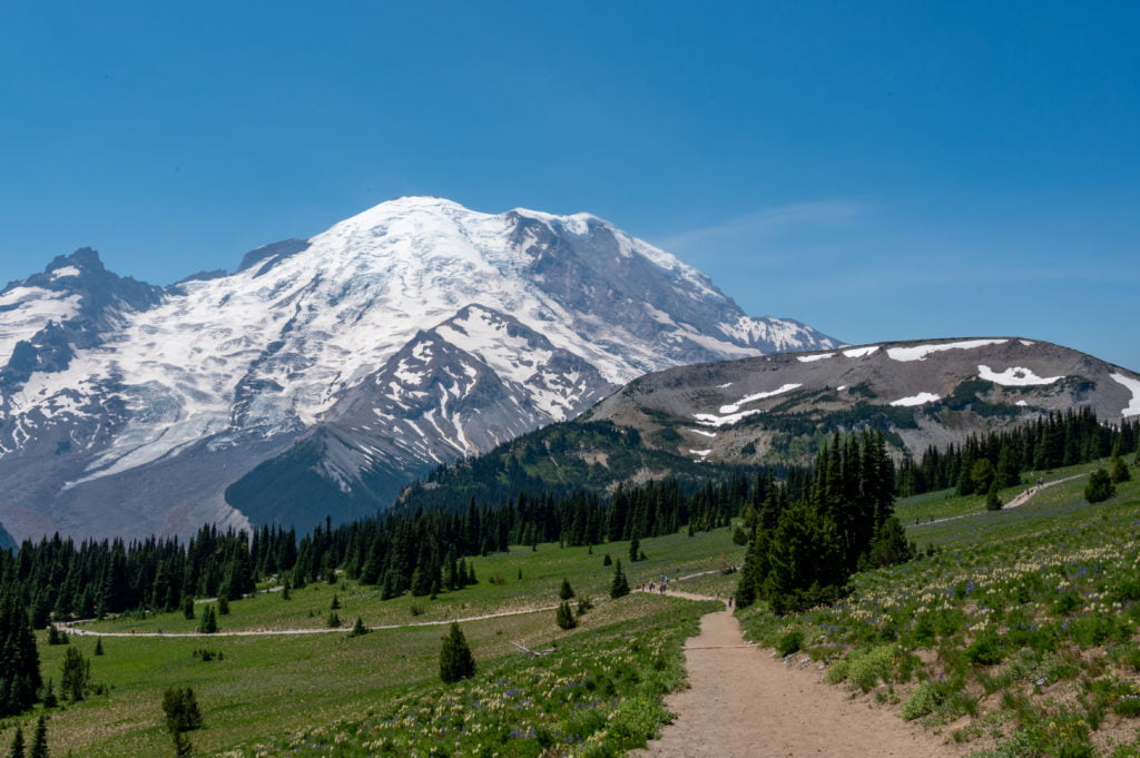 Dege Peak Trail looking back at Rainier