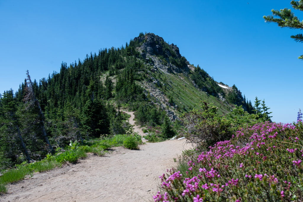 Dege Peak and wildflowers