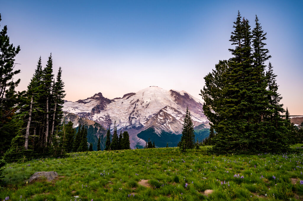 Mount Rainier at Sunrise