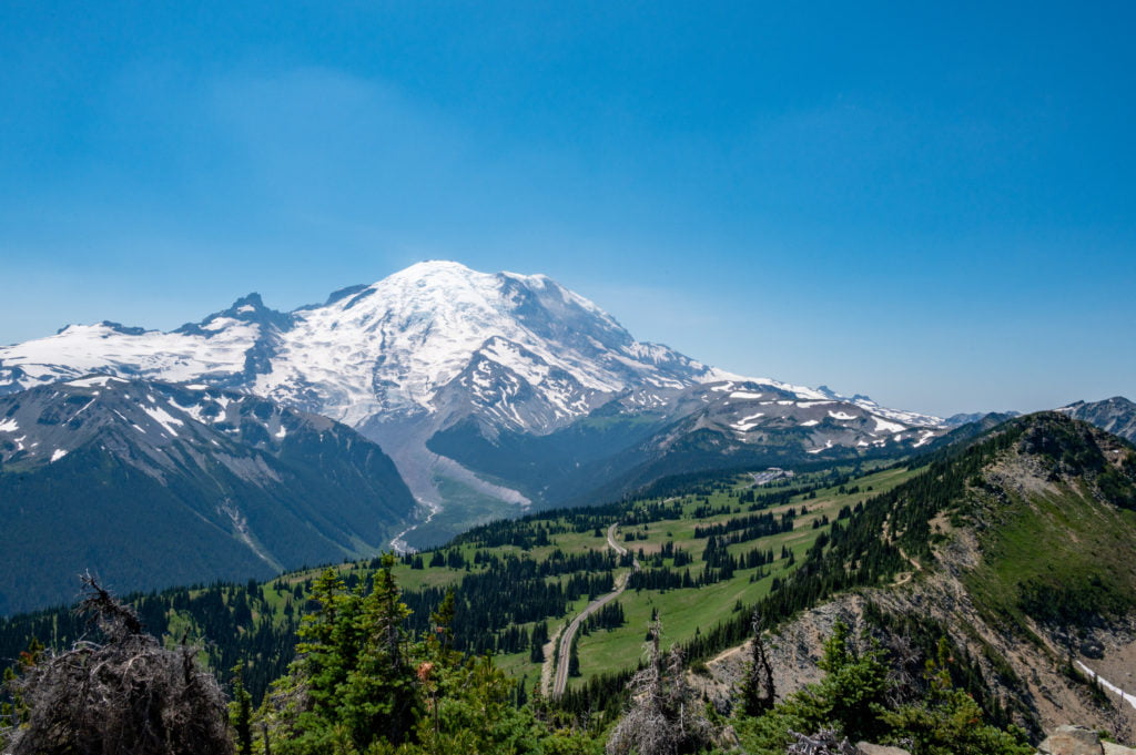 Mt Rainier seen from Dege Peak