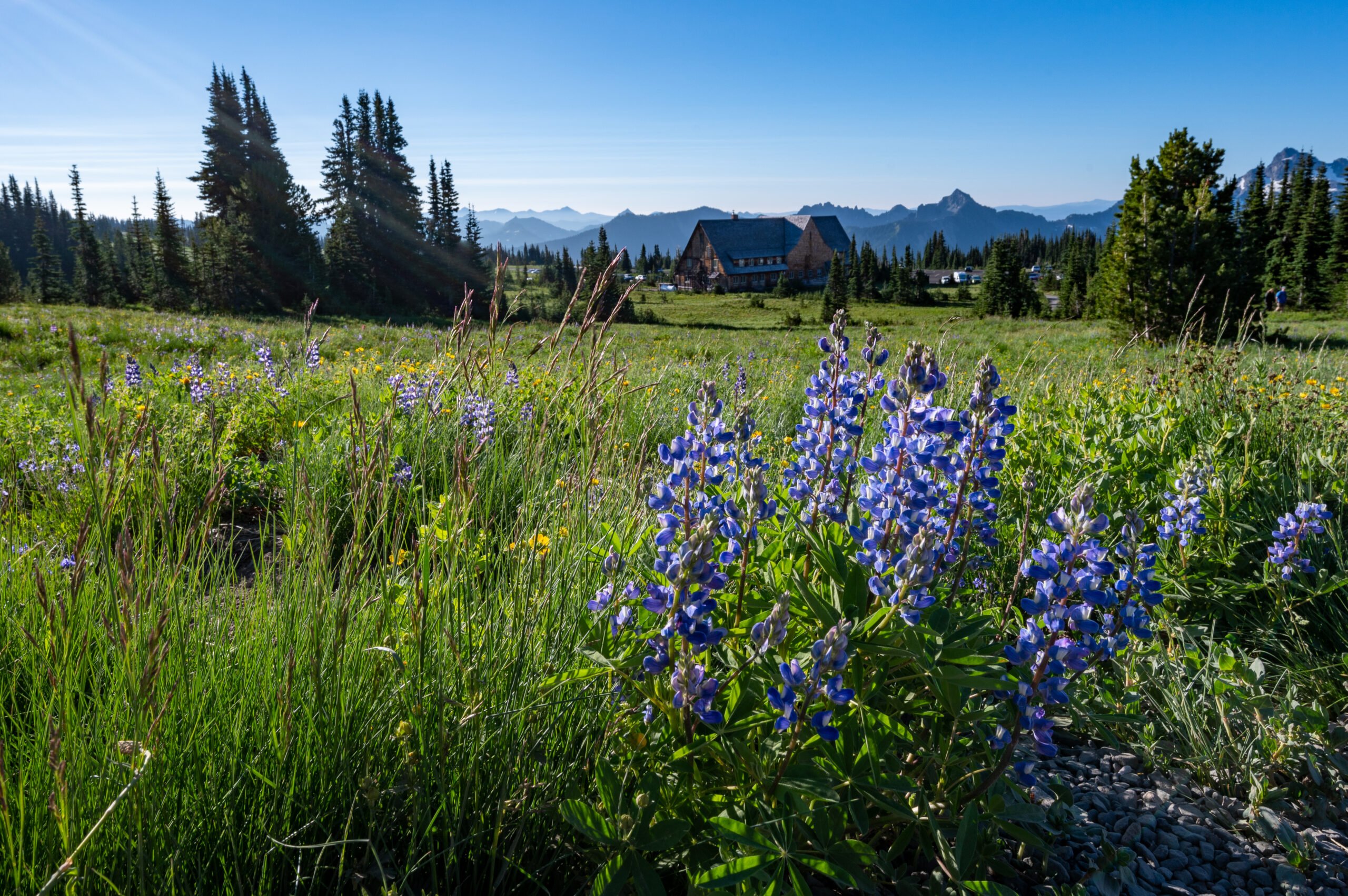 Yakima Park