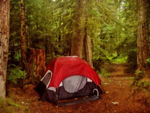 Wenger 4-Person Dome Tent
