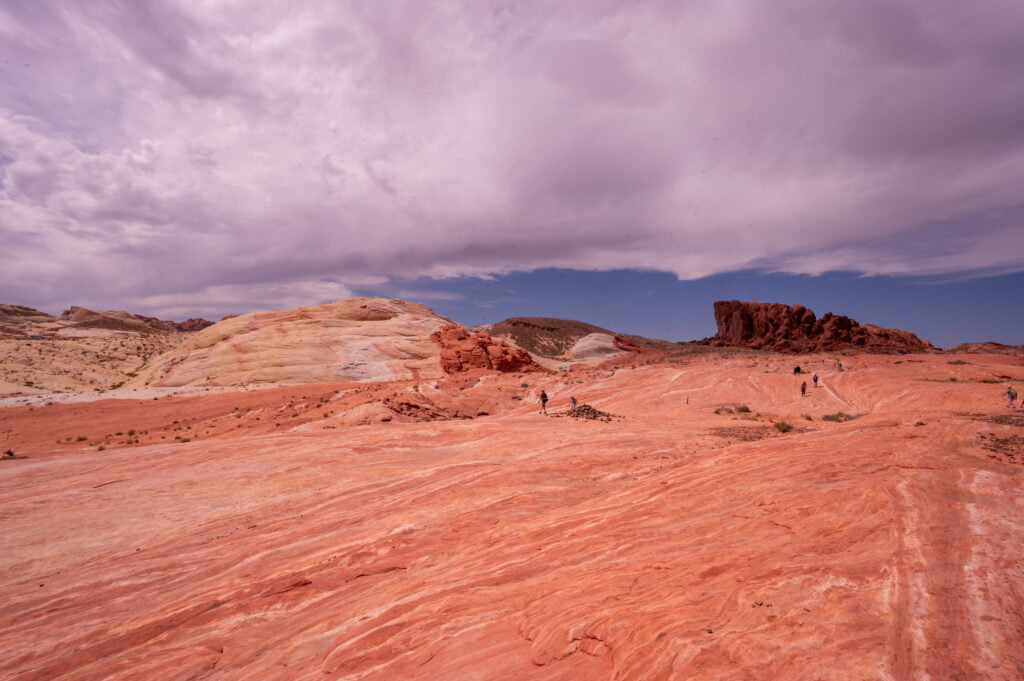 looking back over trail