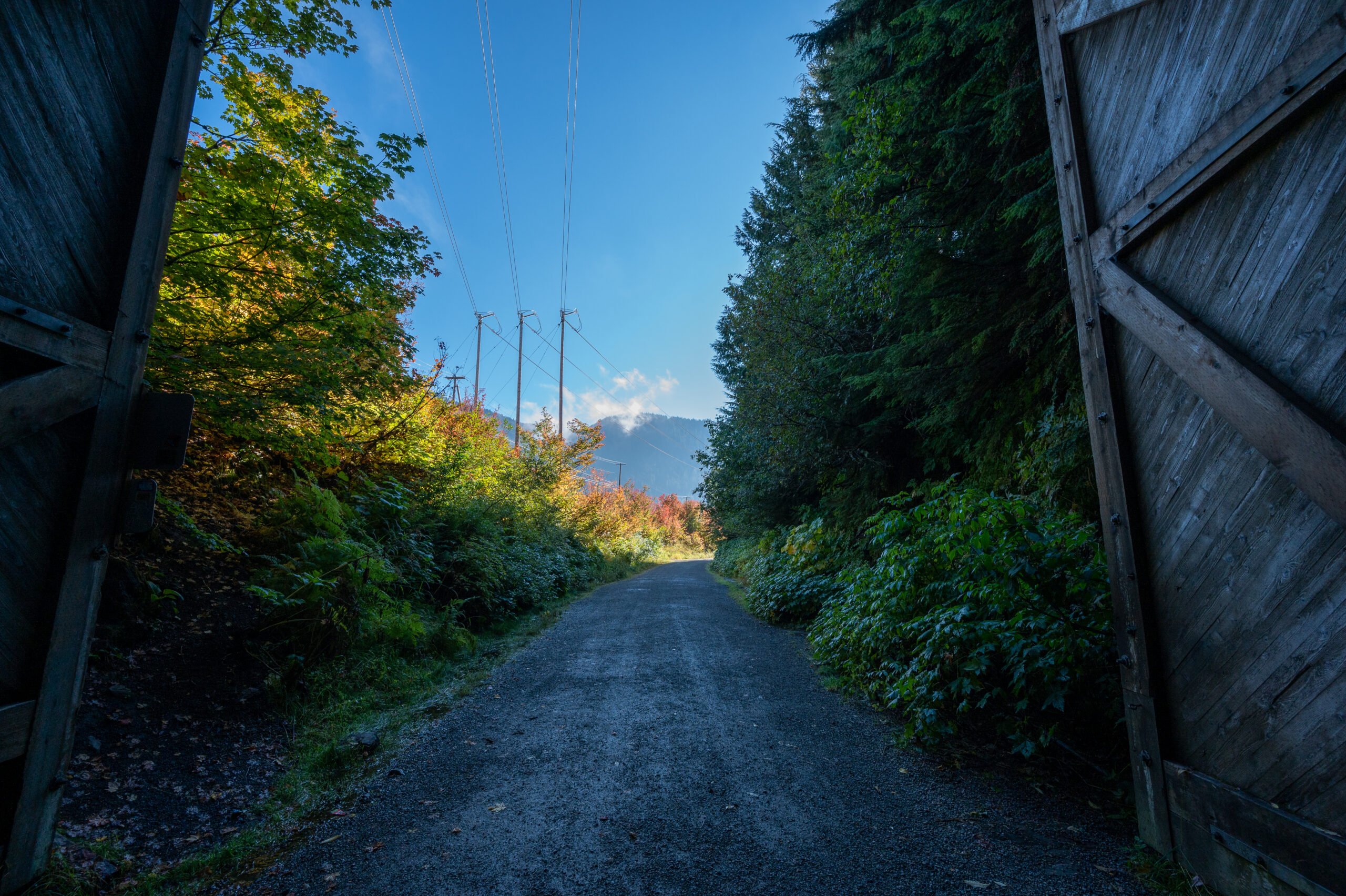 Looking out the entrance of Snoqualmie Tunnel
