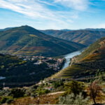 terraced vineyards in Douro Valley