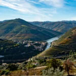 terraced vineyards in Douro Valley