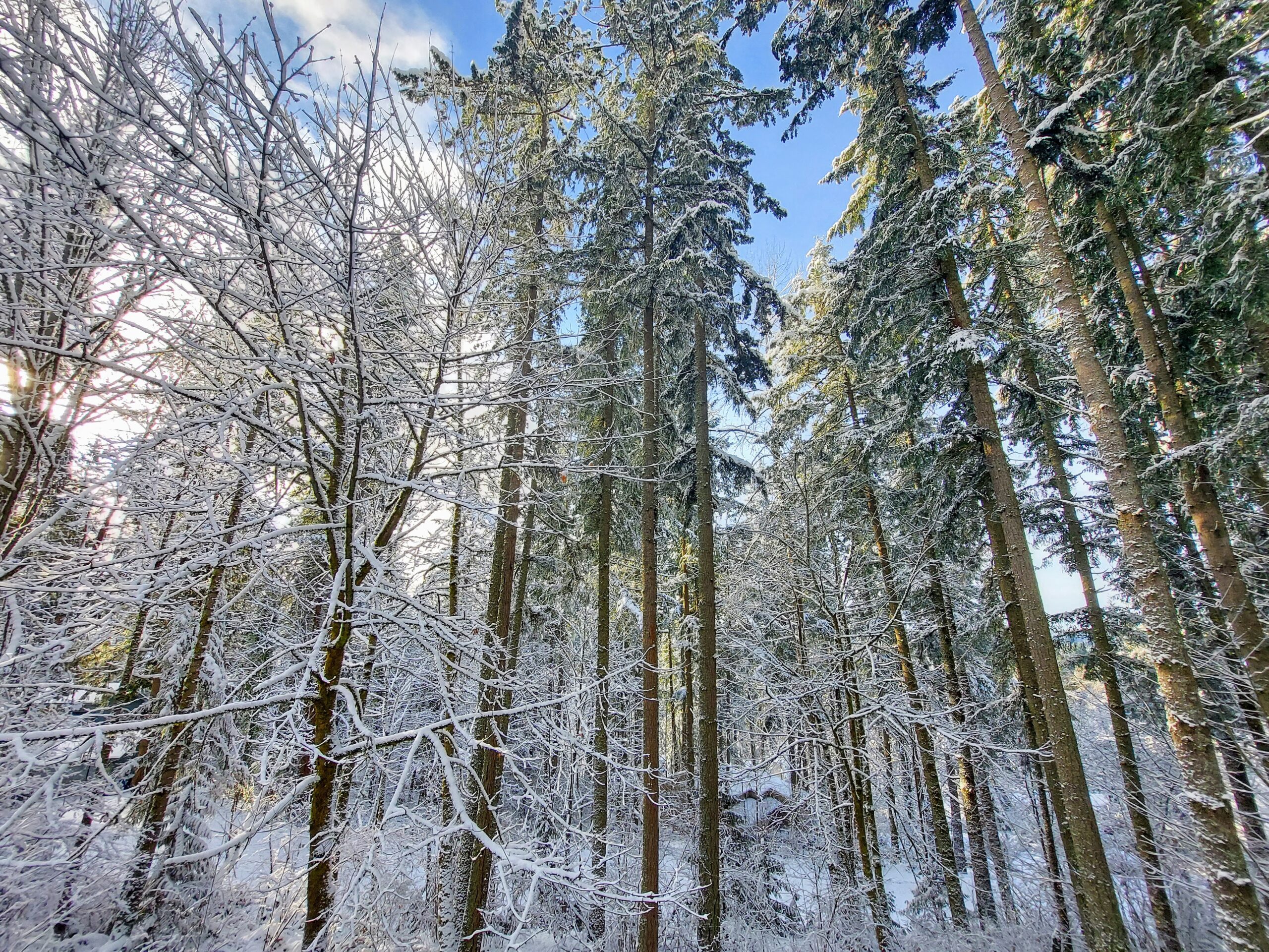 25 Winter Activities to Banish the Winter Blues