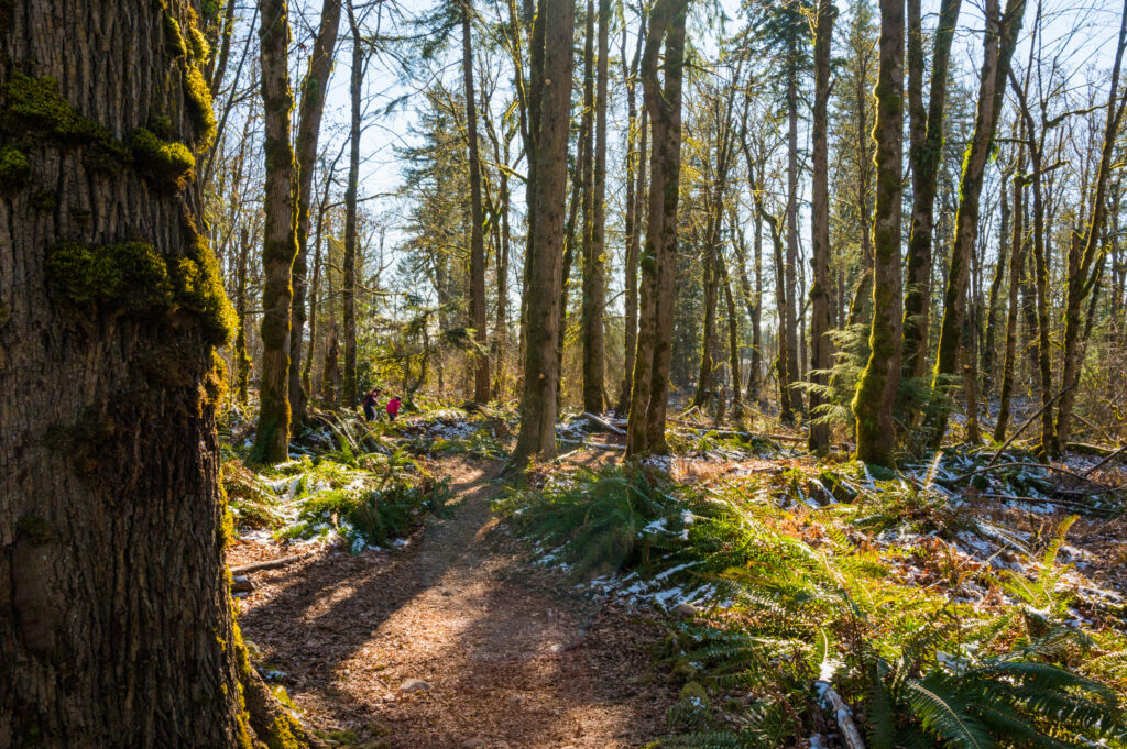 A Mom and Daughter walking the new gnome trail