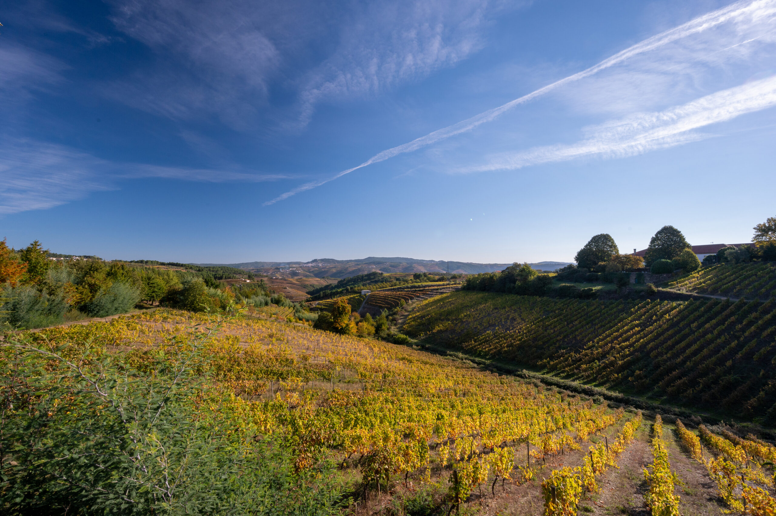 N323 Scenic Drive in the Douro Valley