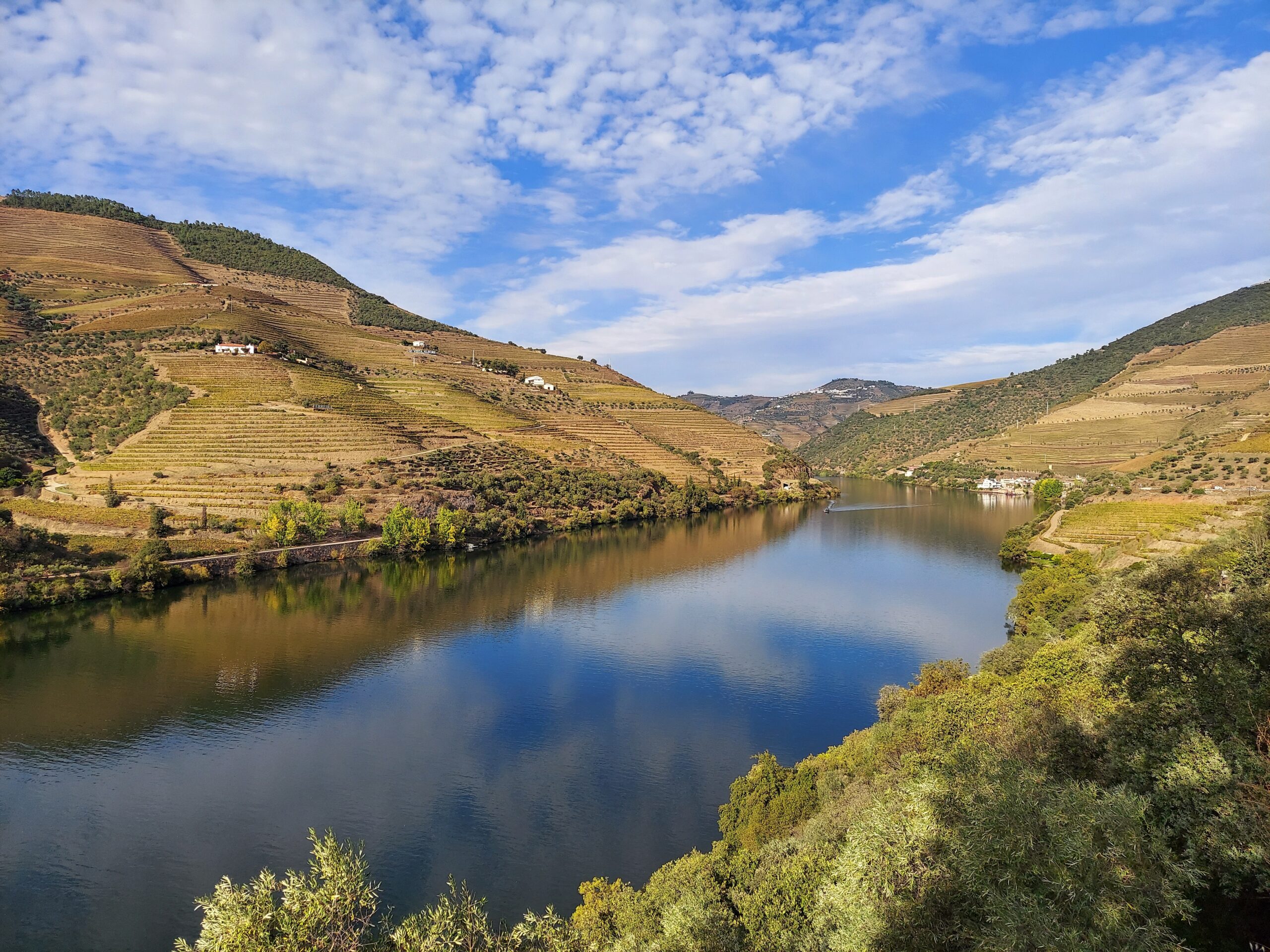 The Douro River along N222.