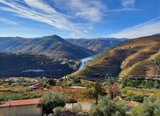 Dour River and Douro Valley vineyard terraces