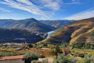 Dour River and Douro Valley vineyard terraces