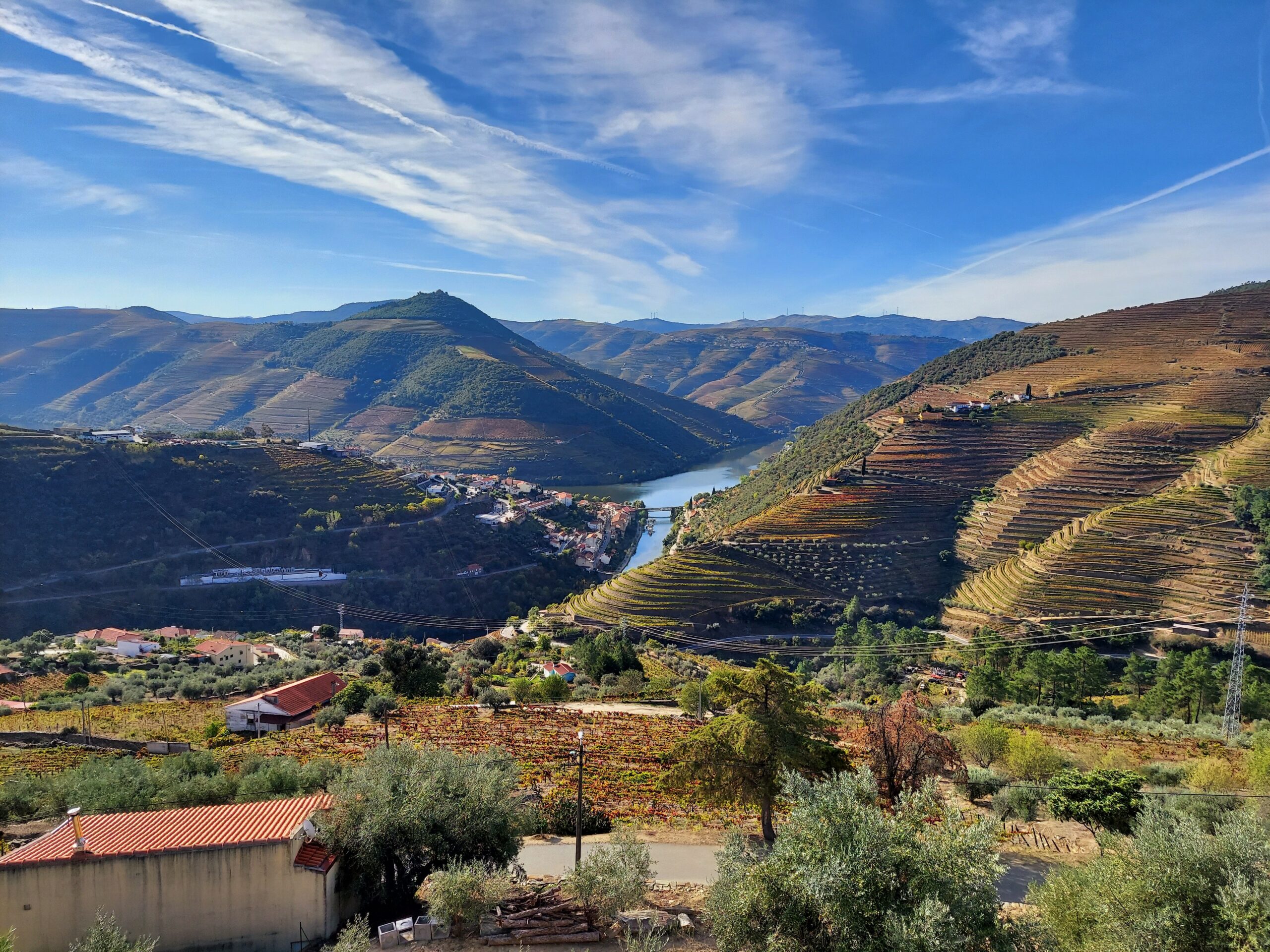 day trip douro valley from porto