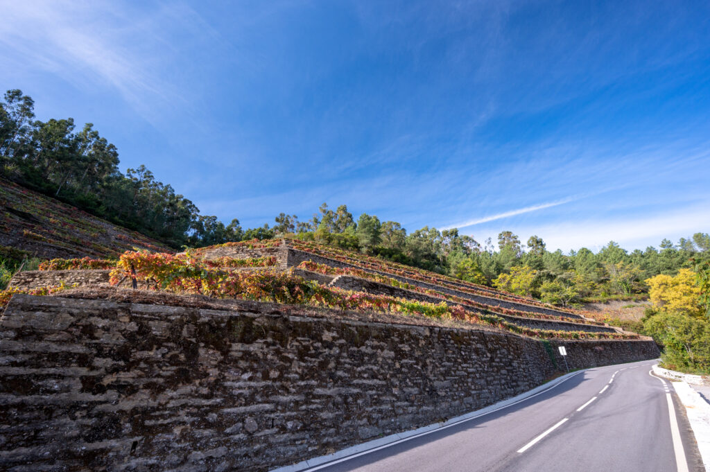 Hwy N322-3 in the Douro Valley