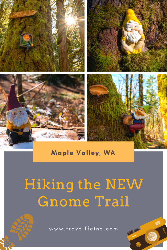 Hiking the NEW Gnome Trail