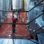 Quinta do Bomfim's wine processing facilities