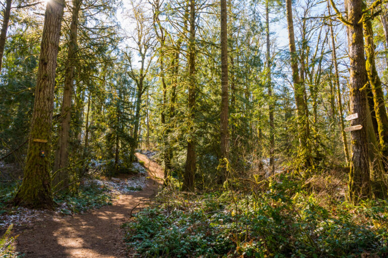 trail signs to follow up short hill