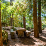 Park for picnic by Pedra Bela