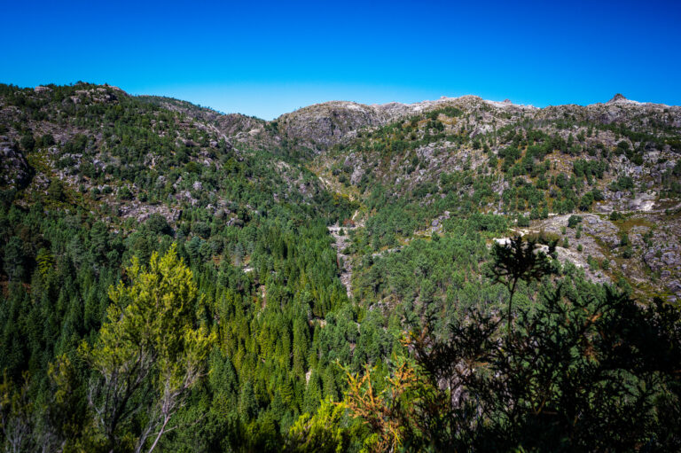 View from Rocas Viewpoint