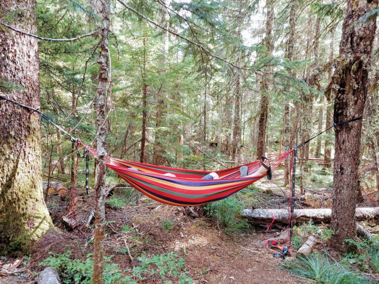 hammock camping accessory