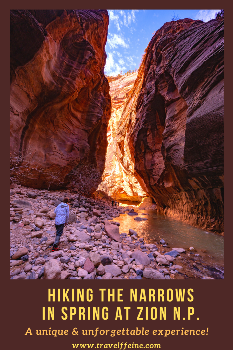Hiking The Narrows in Spring at Zion National Park