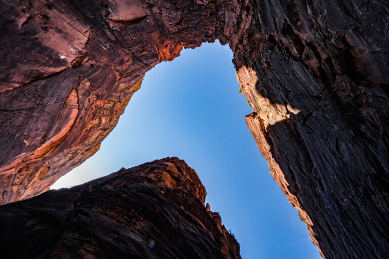 Zion Canyon Look up