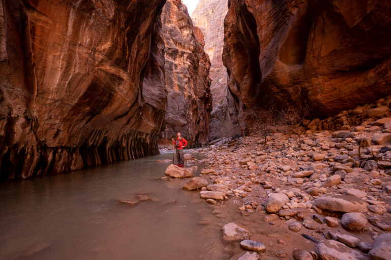 Looking up at Zion Canyon