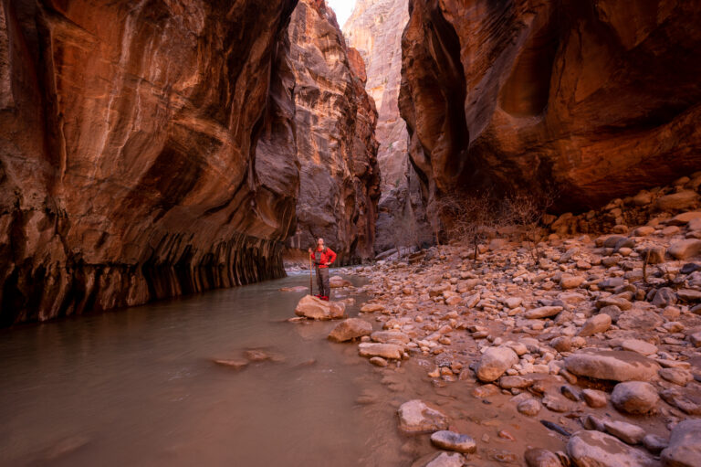 Looking up at Zion Canyon