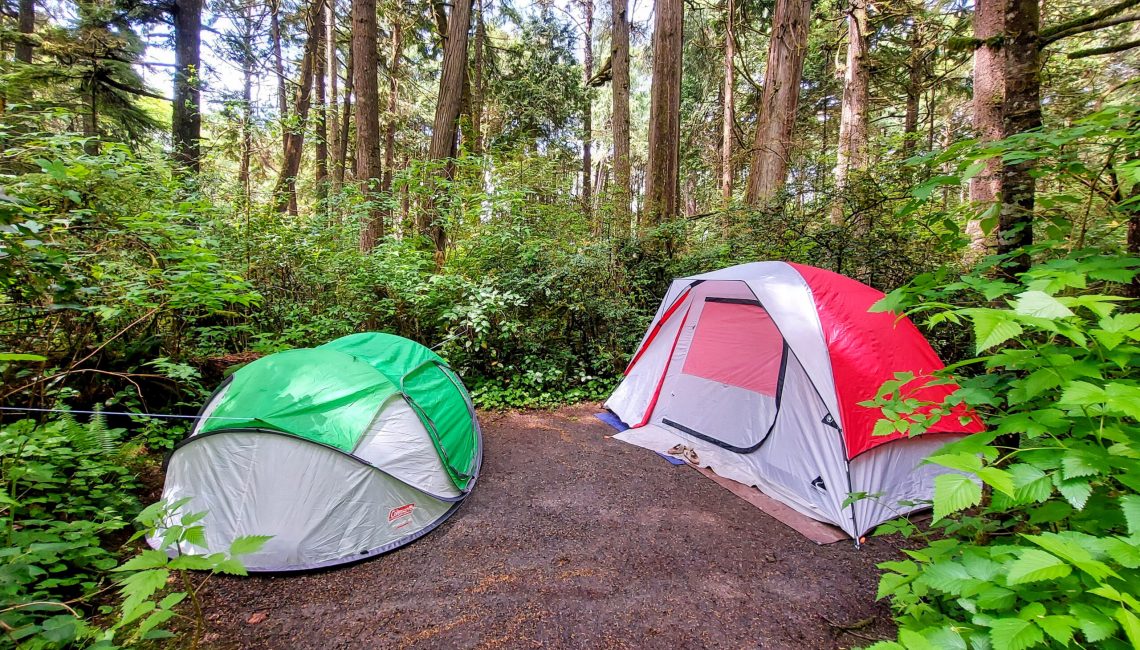 Coleman 4-Person Pop-Up Tent