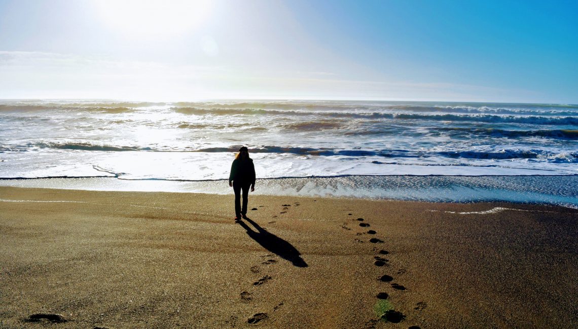 sunny walk on the beach