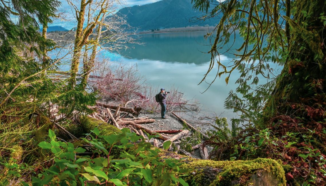 6 Stunning Hikes in the Quinault Rainforest Travelffeine