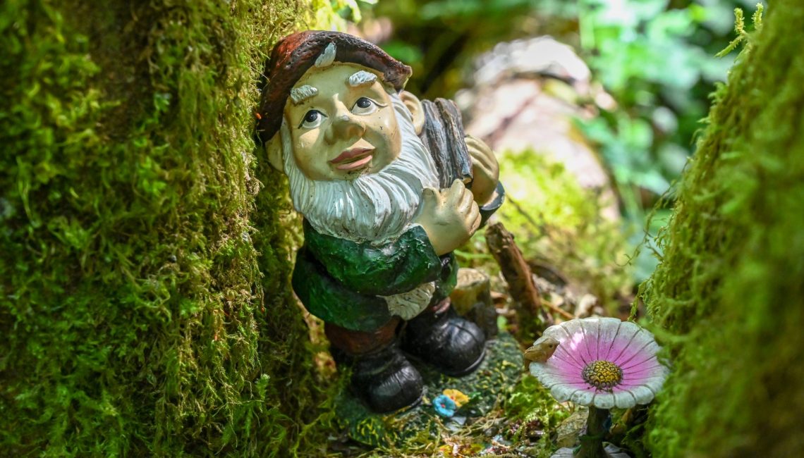 Gnome in a tree on gnome trail