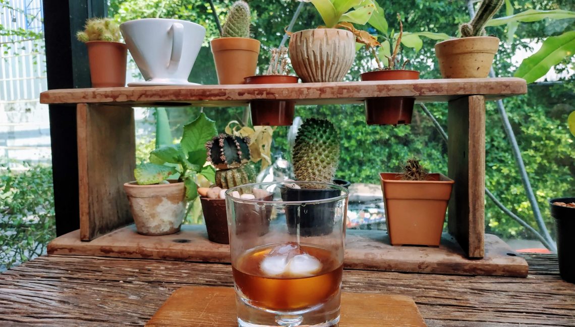 Cold brew coffee and cactus at Stand Alone Coffee bar