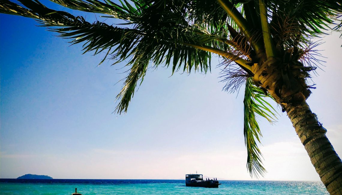Palm trees and boat at Laem Tong Beach on Koh Phi Phi Island Thailand