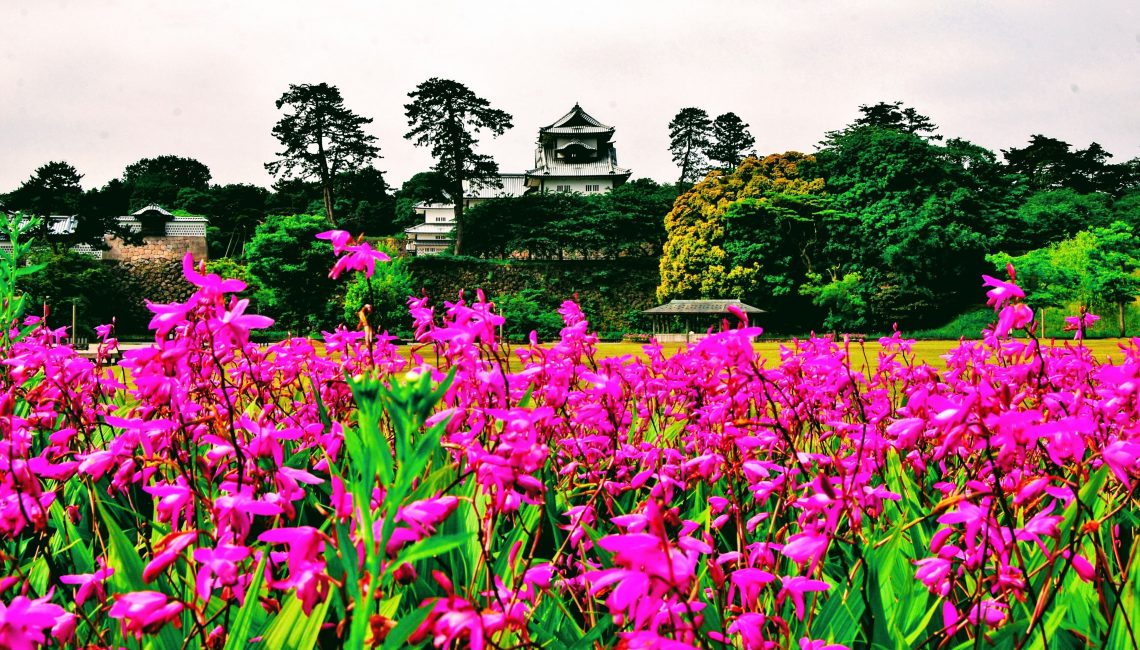 Castle in Kanazawa, Japan with flowers around it
